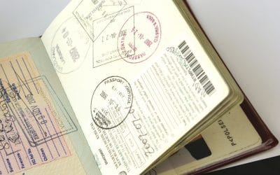 Unlocking Insights of the Critical Skills Work Visa : Department of Home Affairs Webinar Recap