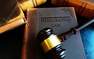 Asylum Seekers and Refugees Can now apply for Temporary and Permanent Residence Permits- Constitutional Court