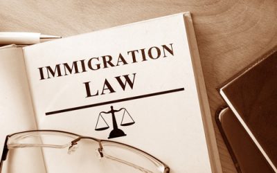 SA Immigration Update – February 2022